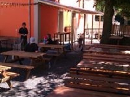 Foto: Schwanenk&amp;ouml;nig